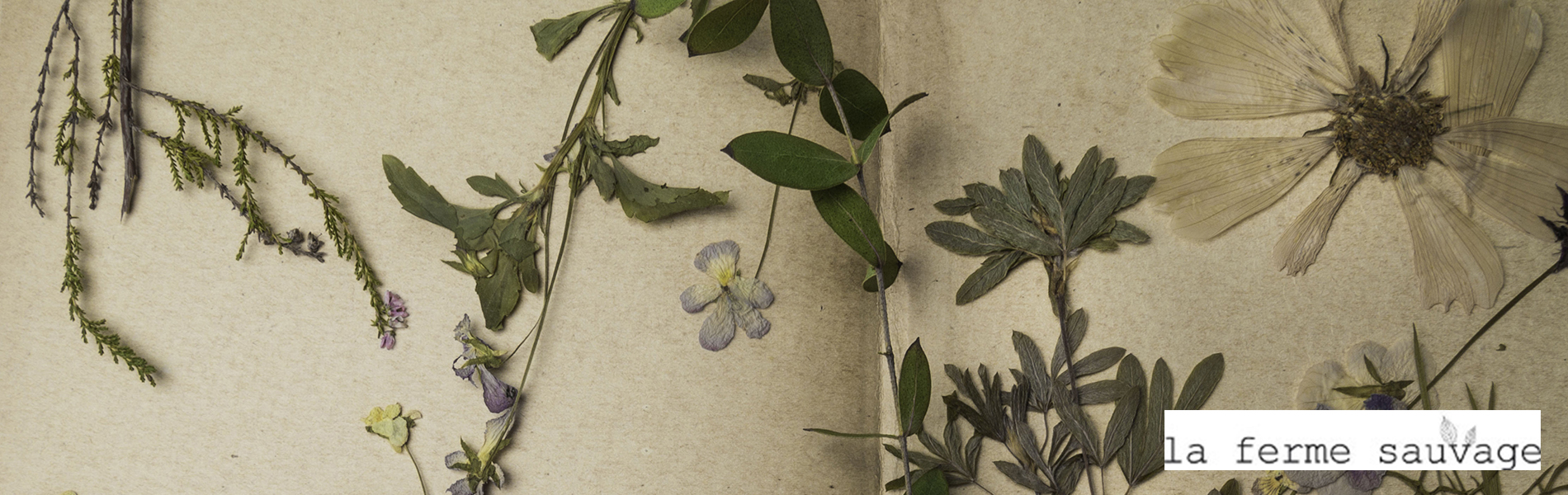 Presse herbier en ligne