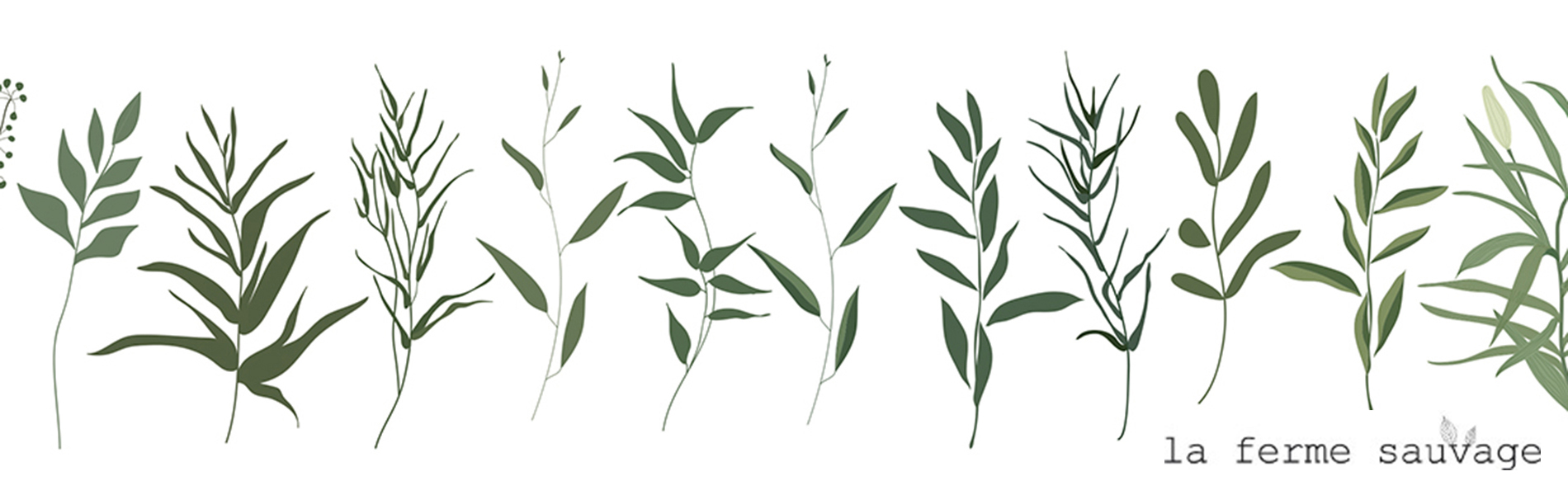 Faire un herbier atypique