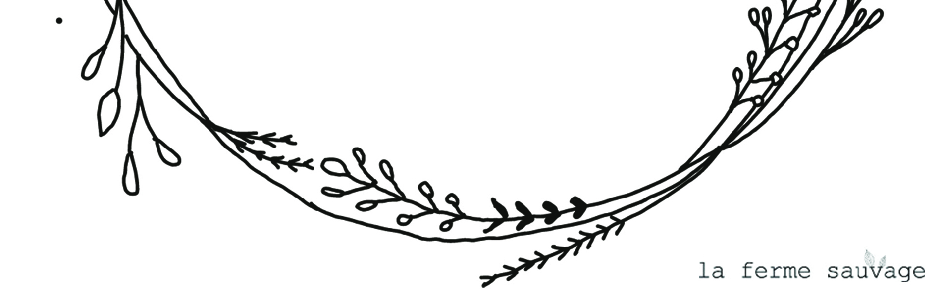 Plante Herbier Sauvage Paris (75001)
