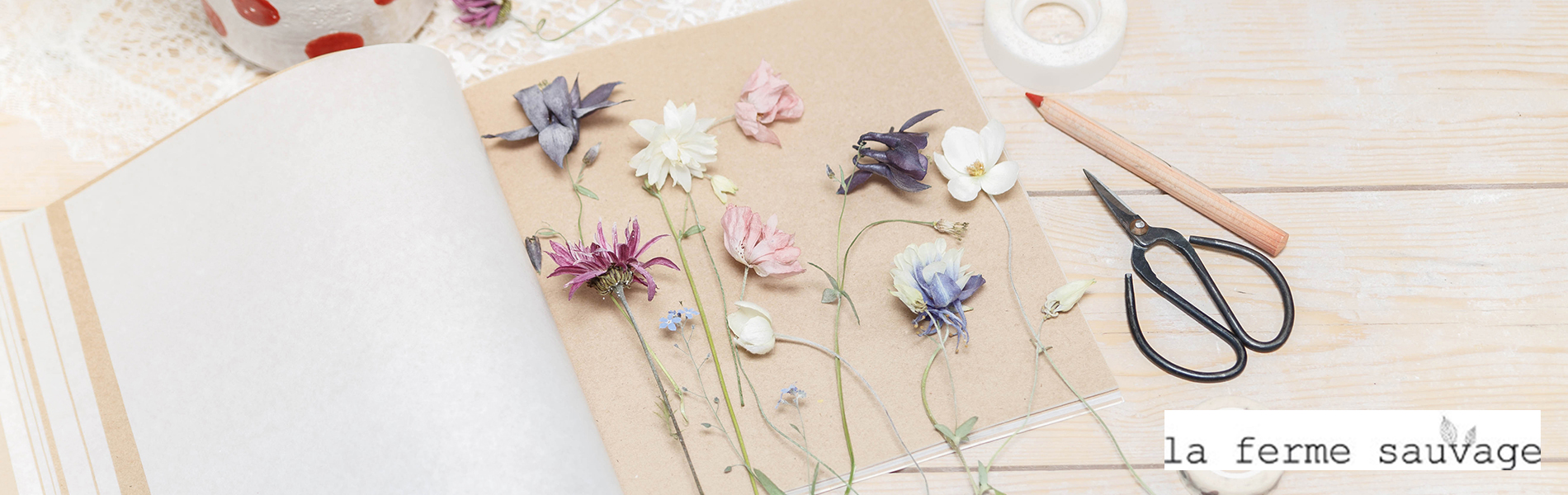 Comment faire un herbier atypique