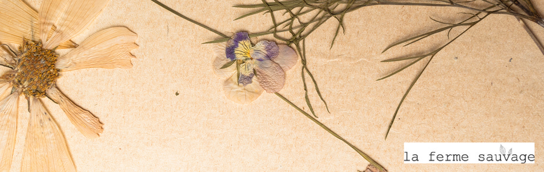 Reliure herbier pas cher