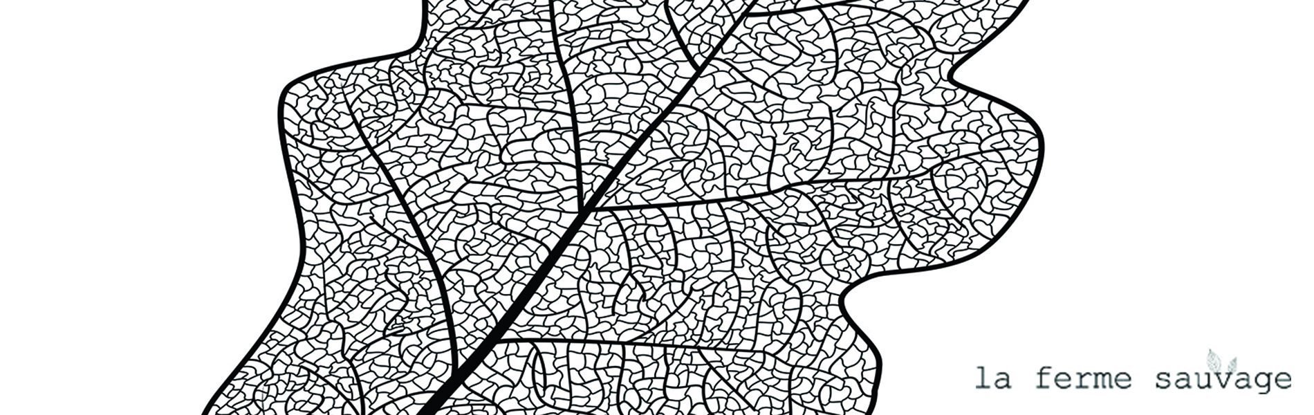 feuille herbier sous verre Lyon (69001)