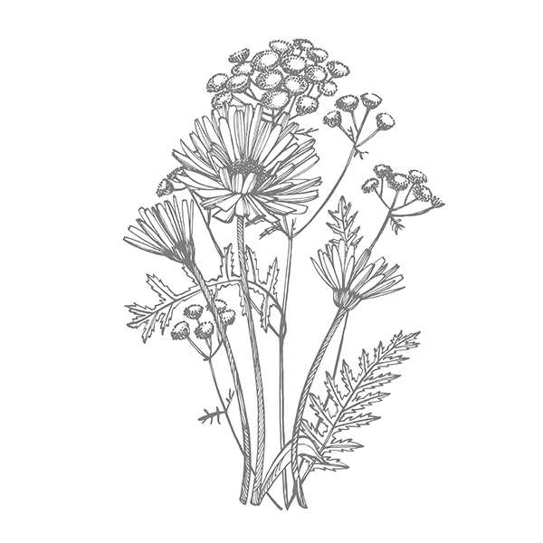 Reliure herbier fleur