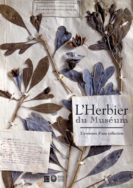 Cahier pour herbier spécial botaniste herbiers de collection (blanc) - La  Ferme Sauvage %